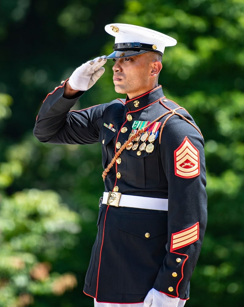 Soldiers in Military Salute
